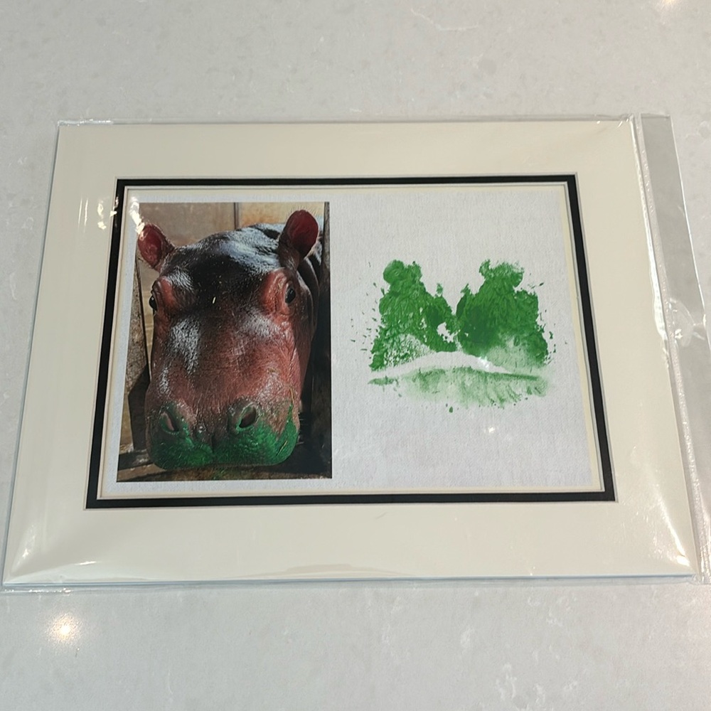 Cincinnati Zoo Fritz hippo kiss 11x14 matted art print